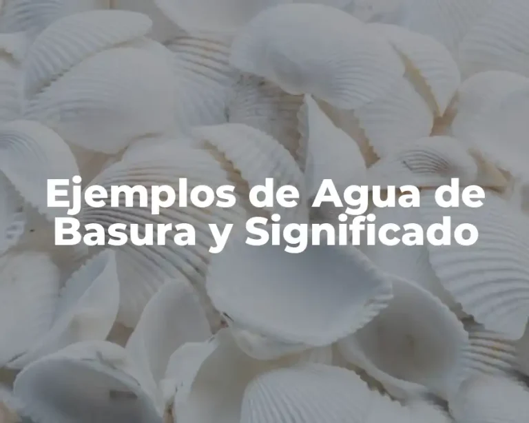 Ejemplos de Agua de Basura y Significado