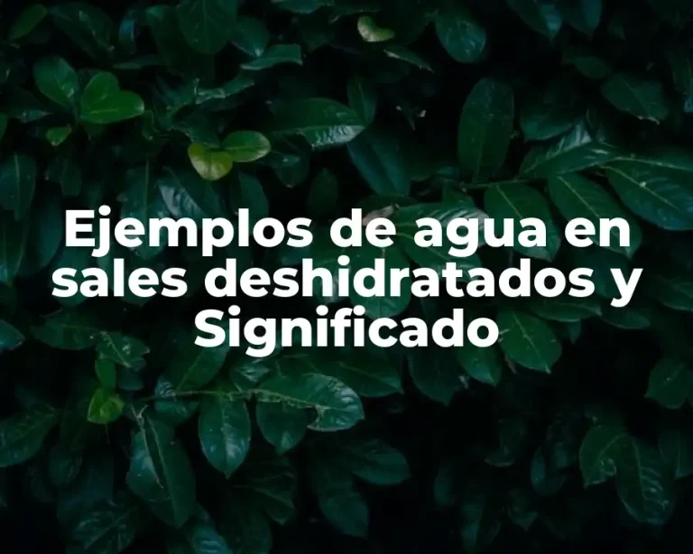 Ejemplos de agua en sales deshidratados y Significado