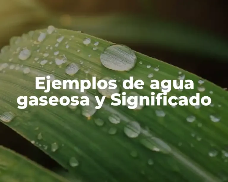Ejemplos de agua gaseosa y Significado