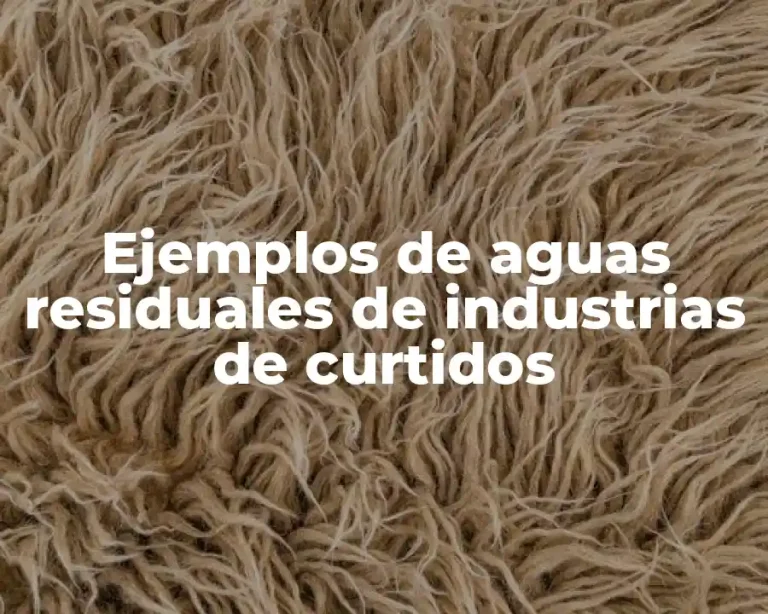 Ejemplos de aguas residuales de industrias de curtidos