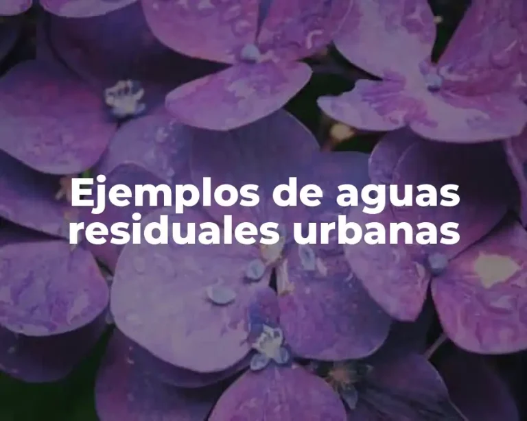Ejemplos de aguas residuales urbanas