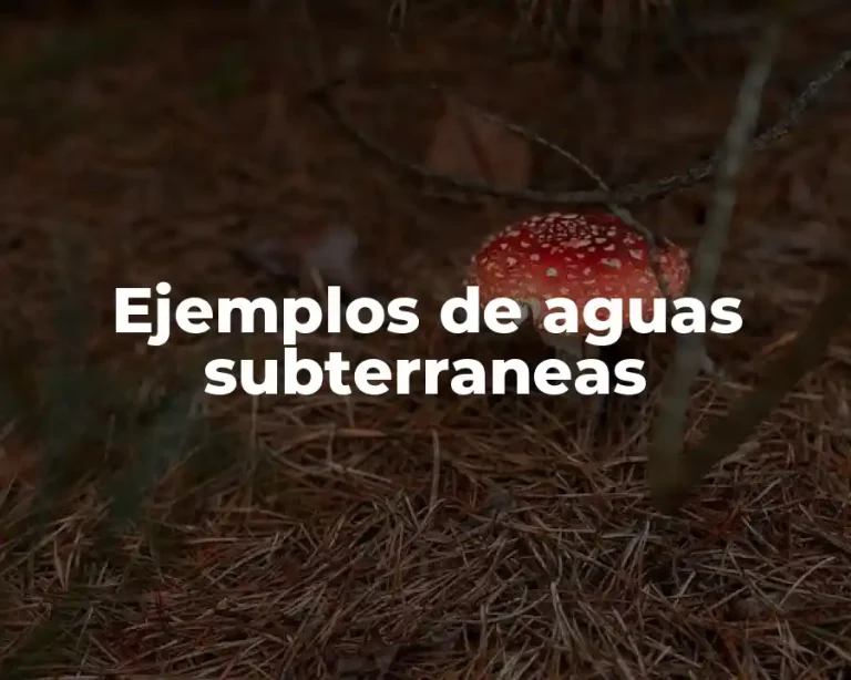 Ejemplos de aguas subterraneas