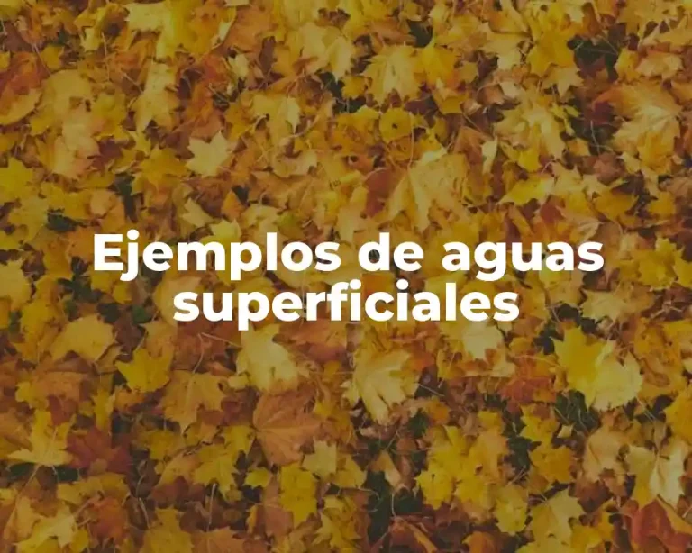 Ejemplos de aguas superficiales