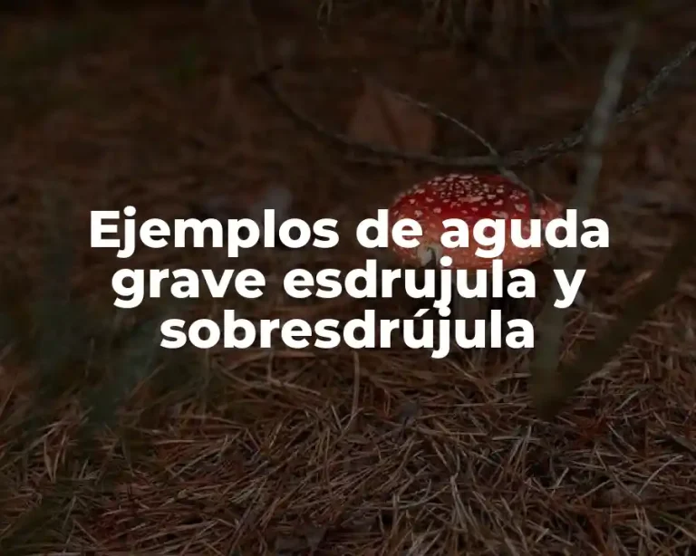 Ejemplos de aguda grave esdrujula y sobresdrújula