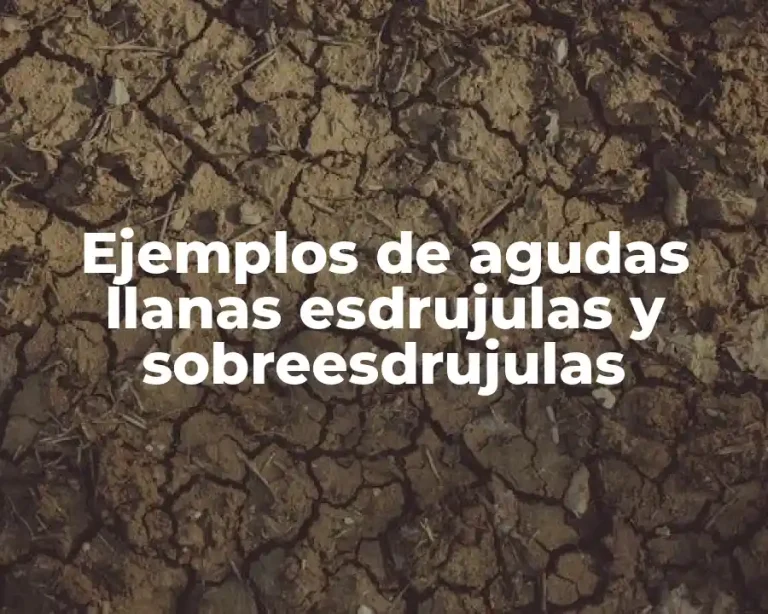 Ejemplos de agudas llanas esdrujulas y sobreesdrujulas