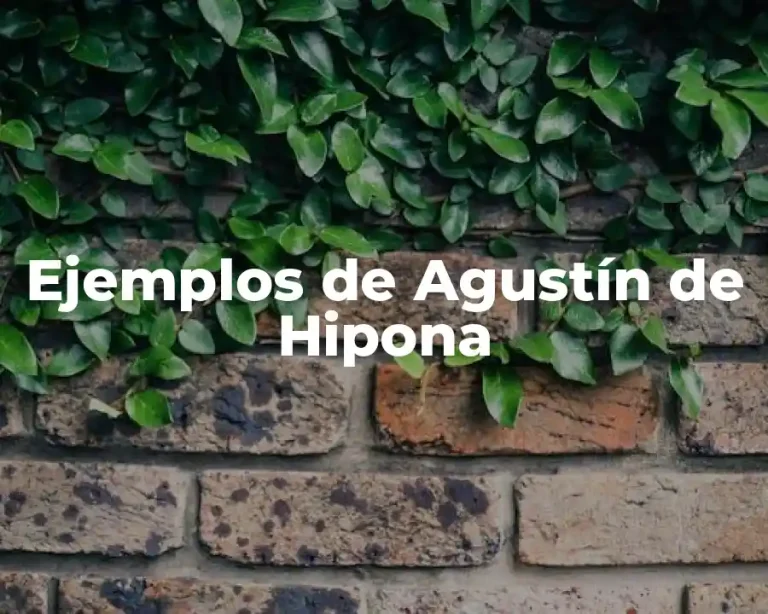 Ejemplos de Agustín de Hipona