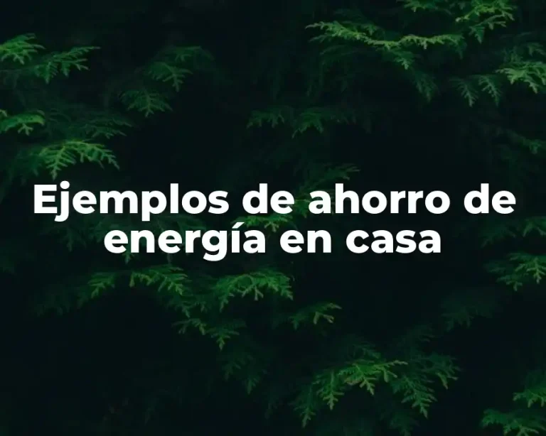 Ejemplos de ahorro de energía en casa