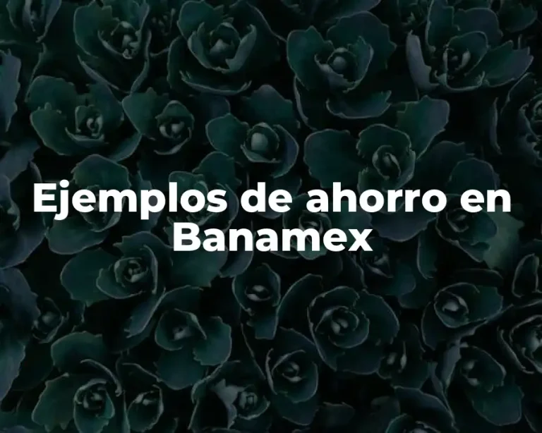 Ejemplos de ahorro en Banamex