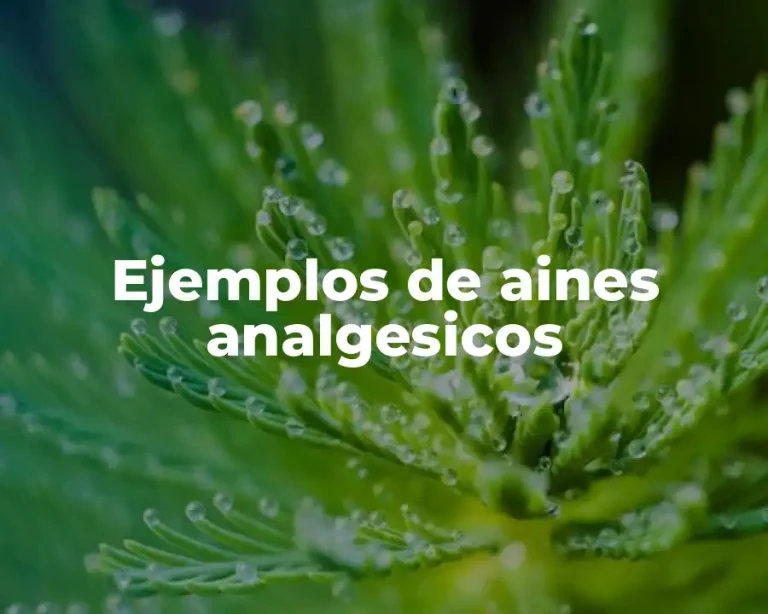 Ejemplos de aines analgesicos