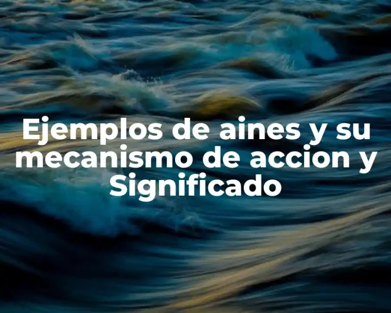 Ejemplos de aines y su mecanismo de accion y Significado