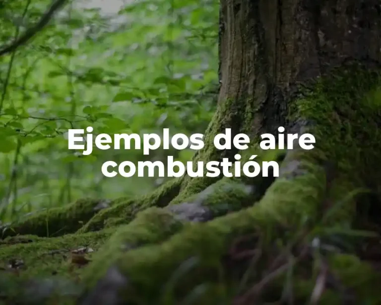 Ejemplos de aire combustión