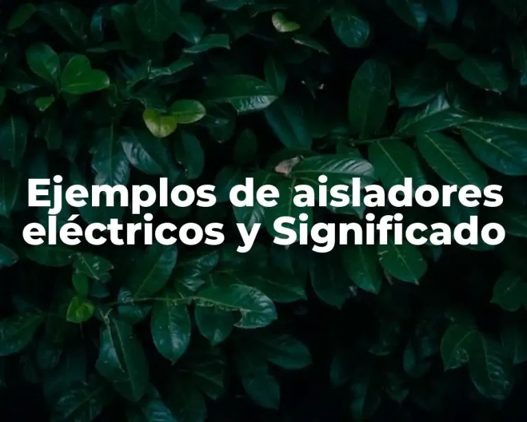 Ejemplos de aisladores eléctricos y Significado