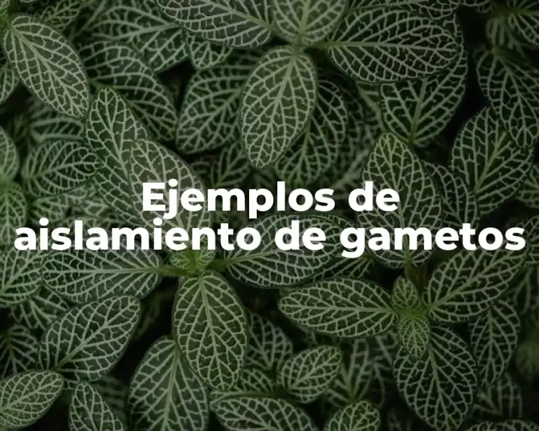 Ejemplos de aislamiento de gametos