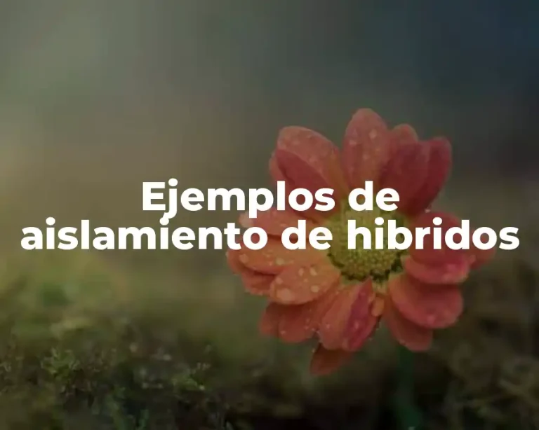 Ejemplos de aislamiento de hibridos