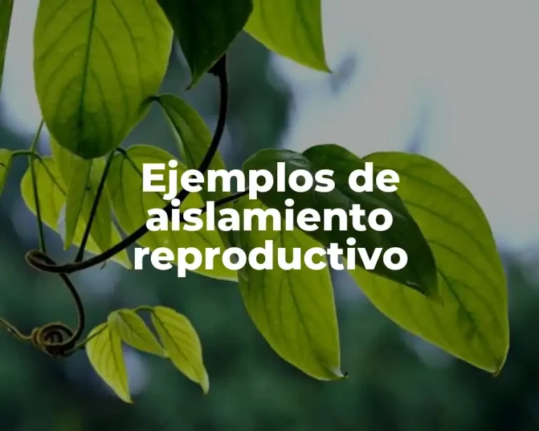 Ejemplos de aislamiento reproductivo