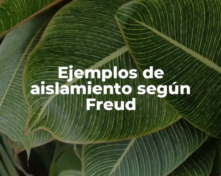 Ejemplos de aislamiento según Freud