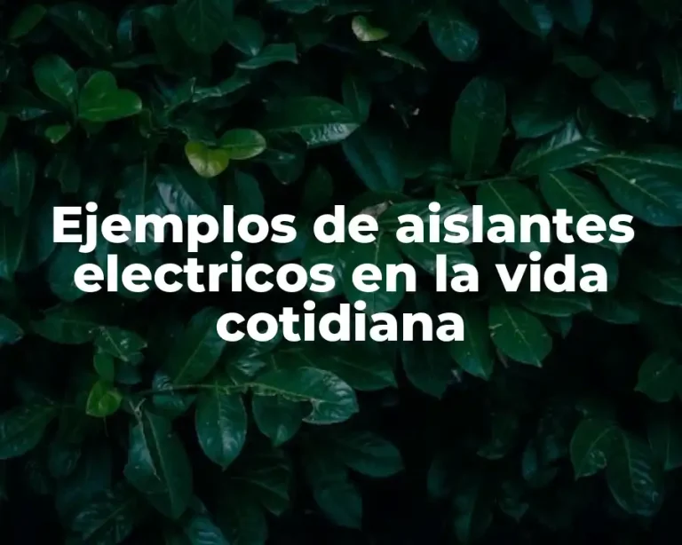 Ejemplos de aislantes electricos en la vida cotidiana