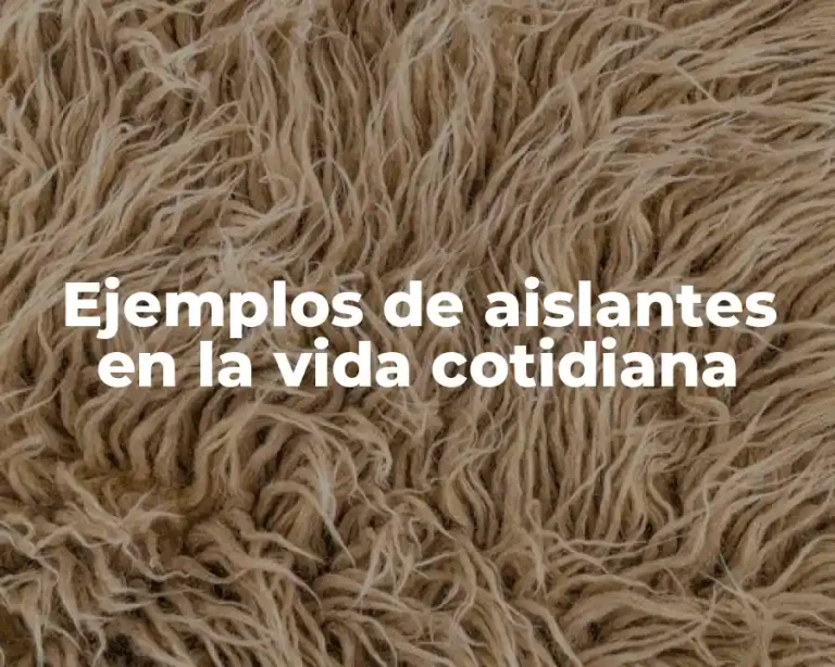 Ejemplos de aislantes en la vida cotidiana