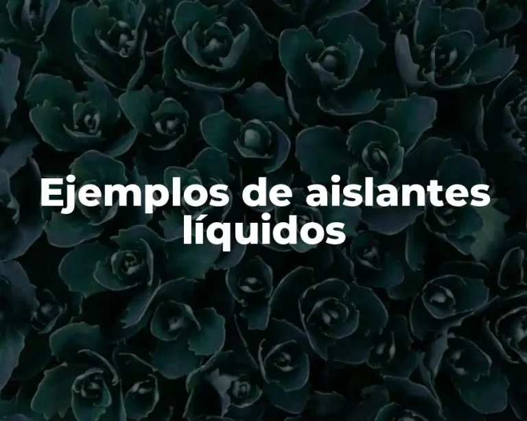 Ejemplos de aislantes líquidos
