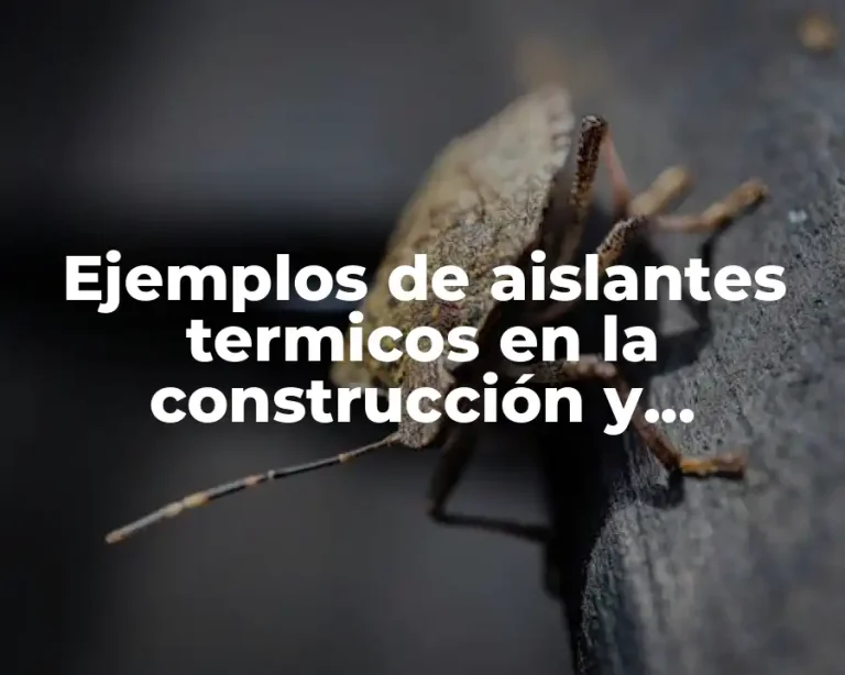 Ejemplos de aislantes termicos en la construcción y Significado