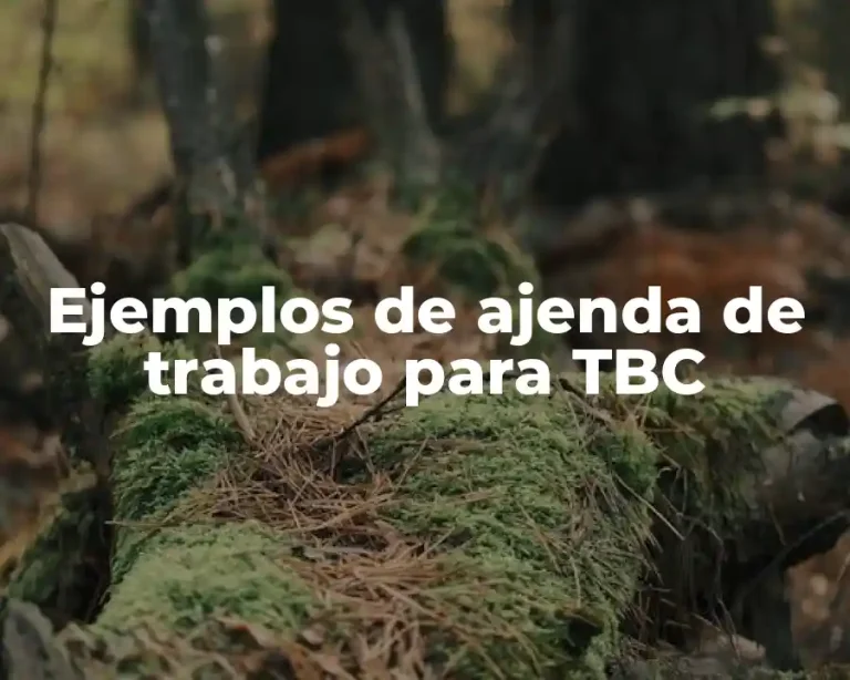 Ejemplos de ajenda de trabajo para TBC