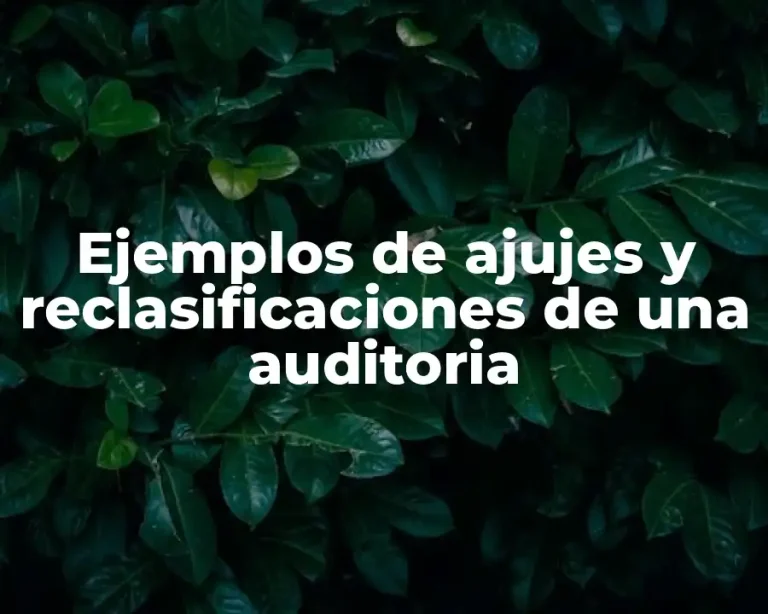 Ejemplos de ajujes y reclasificaciones de una auditoria
