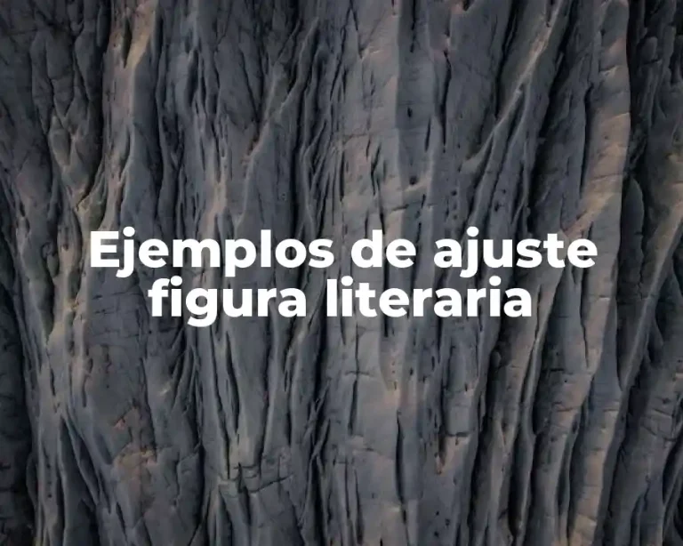 Ejemplos de ajuste figura literaria