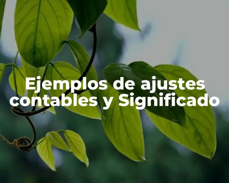 Ejemplos de ajustes contables y Significado
