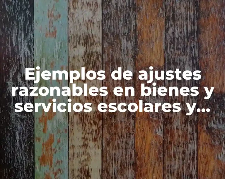 Ejemplos de ajustes razonables en bienes y servicios escolares y Significado
