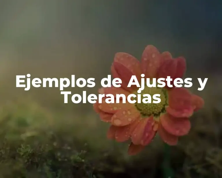 Ejemplos de Ajustes y Tolerancias