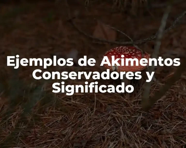 Ejemplos de Akimentos Conservadores y Significado