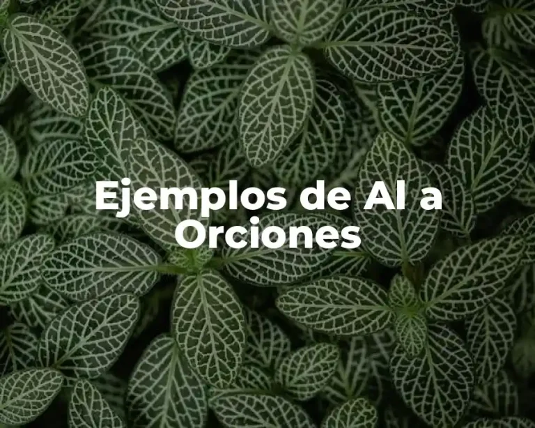 Ejemplos de Al a Orciones