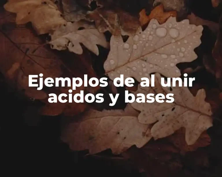 Ejemplos de al unir acidos y bases