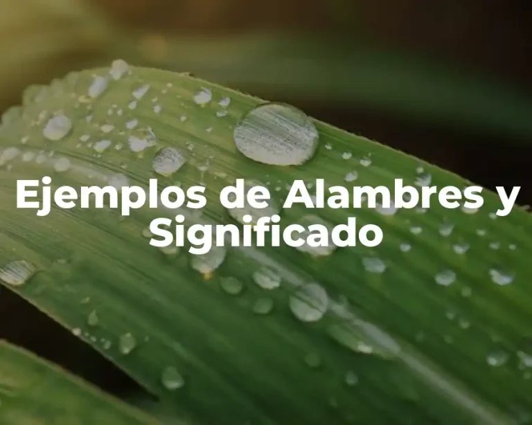 Ejemplos de Alambres y Significado