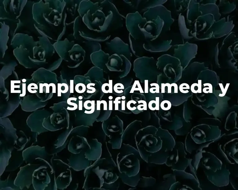 Ejemplos de Alameda y Significado