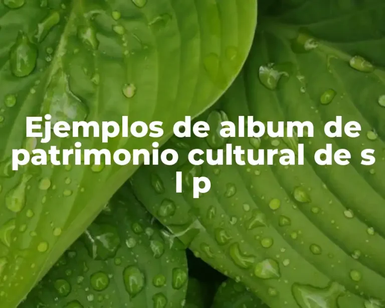 Ejemplos de album de patrimonio cultural de s l p