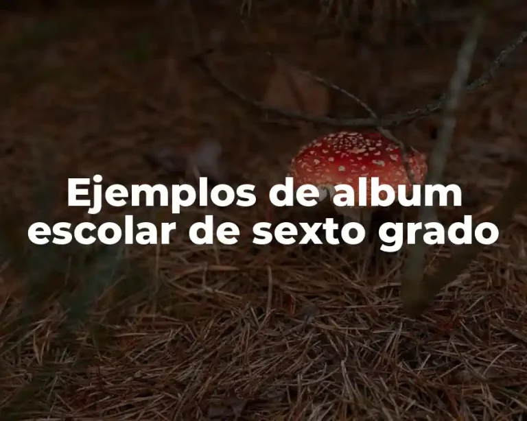 Ejemplos de album escolar de sexto grado