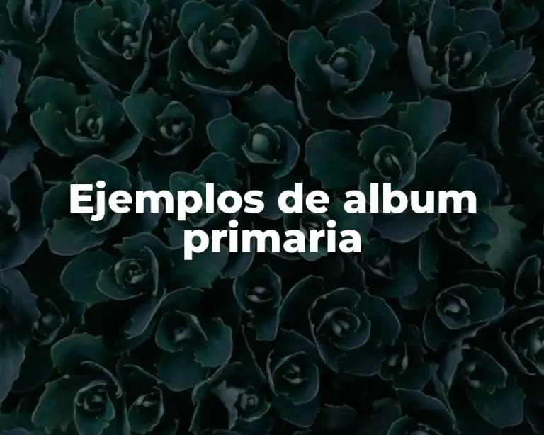 Ejemplos de album primaria