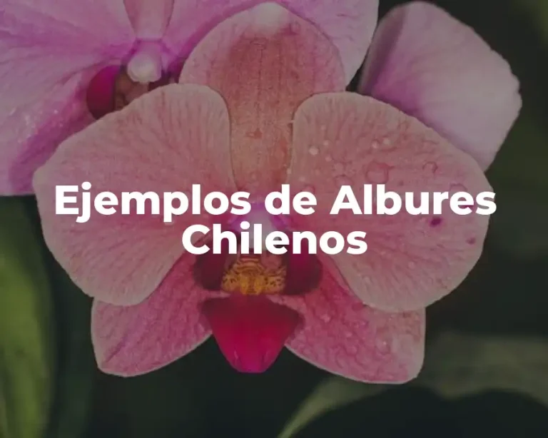 Ejemplos de Albures Chilenos