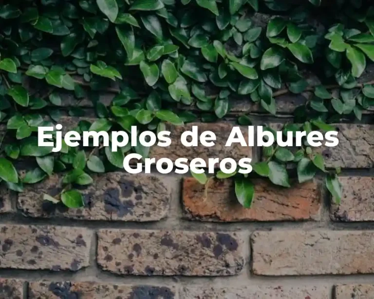 Ejemplos de Albures Groseros