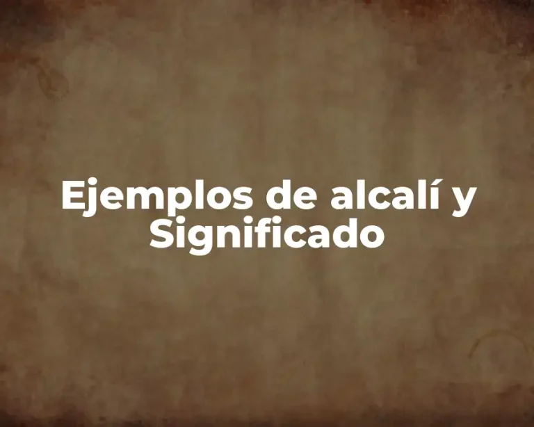 Ejemplos de alcalí y Significado
