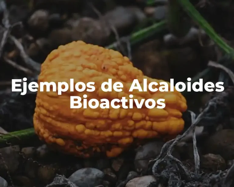 Ejemplos de Alcaloides Bioactivos