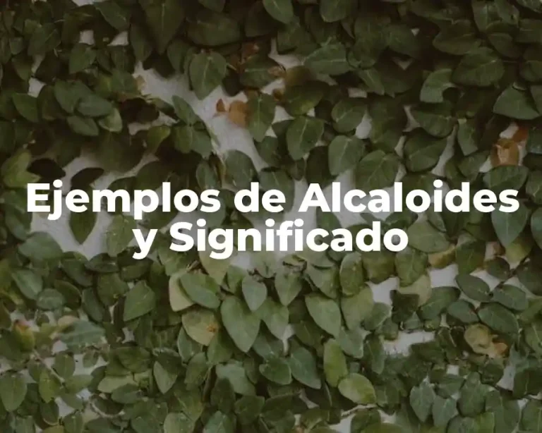 Ejemplos de Alcaloides y Significado