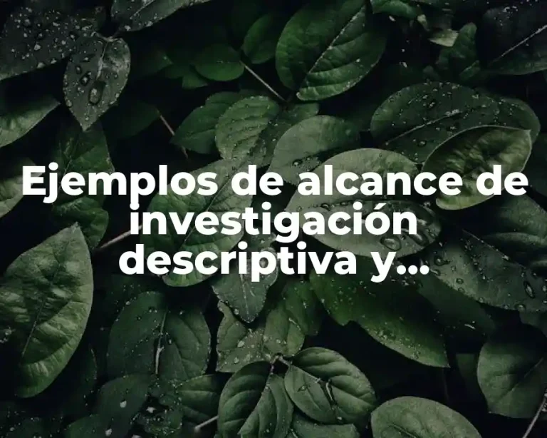 Ejemplos de alcance de investigación descriptiva y Significado