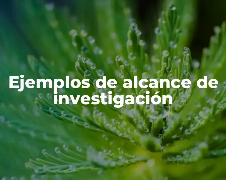 Ejemplos de alcance de investigación