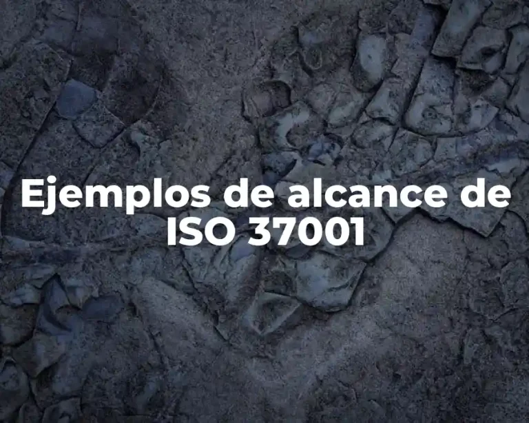 Ejemplos de alcance de ISO 37001