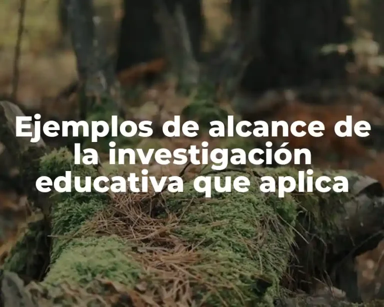 Ejemplos de alcance de la investigación educativa que aplica