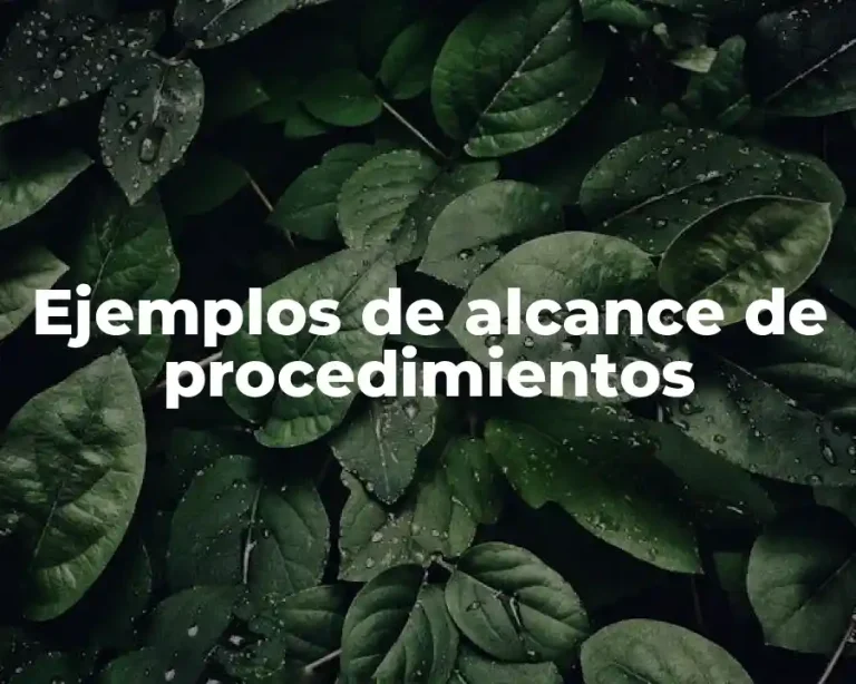Ejemplos de alcance de procedimientos