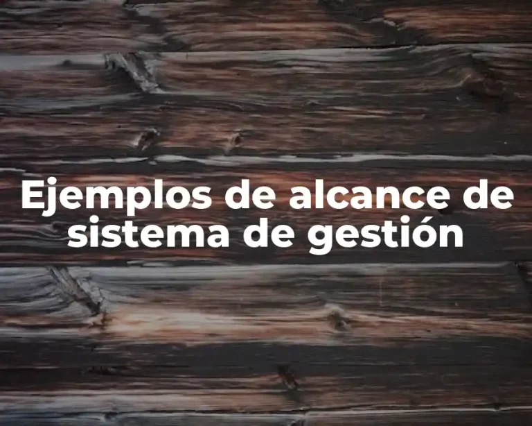 Ejemplos de alcance de sistema de gestión