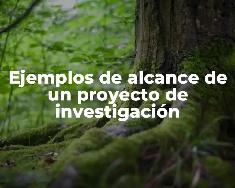 Ejemplos de alcance de un proyecto de investigación